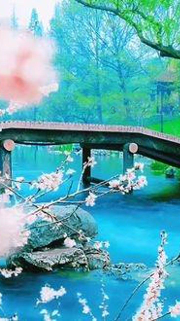 热门问答平台和一个不认识的男生处对象怎么聊天?,解答疑问,助你前行